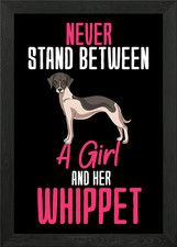 Whippet Girl Gift Framed Wall