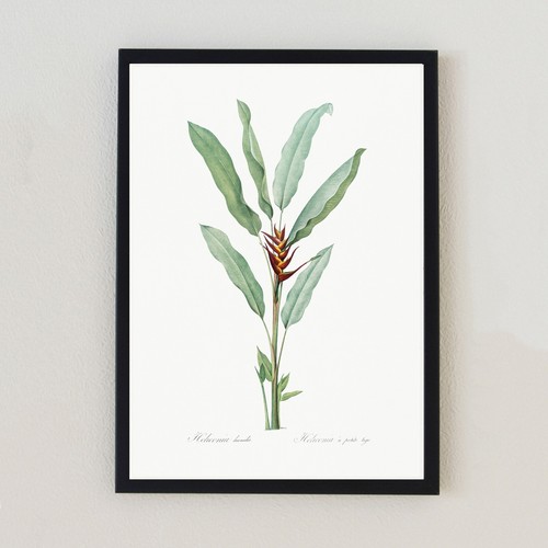 Vintage botanical plant - vintage,