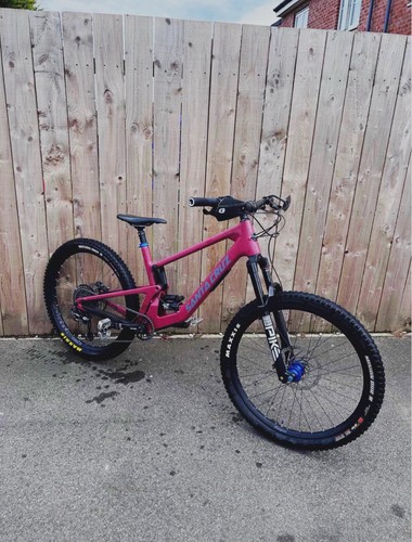 Large santa cruz - large,
