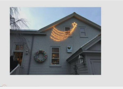 Martha stewart shooting star - stewart,