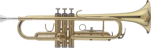 Trumpet the softcase - b,