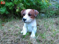 Jack russell puppy vivid - russell, puppy,