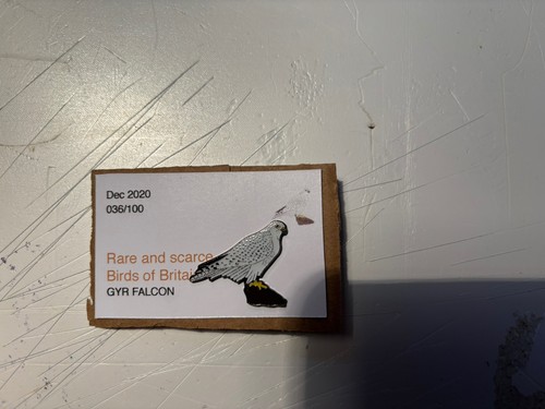 Rspb interest gyr - gyr, sgw