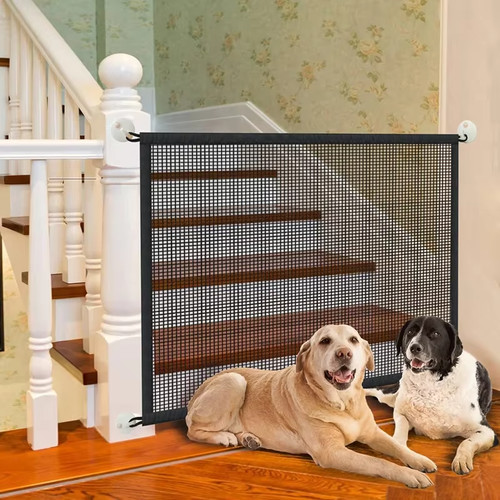 Magic dog gate - dog,