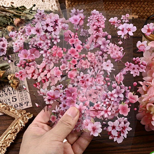 Pink cherry blossom - cherry, sakura