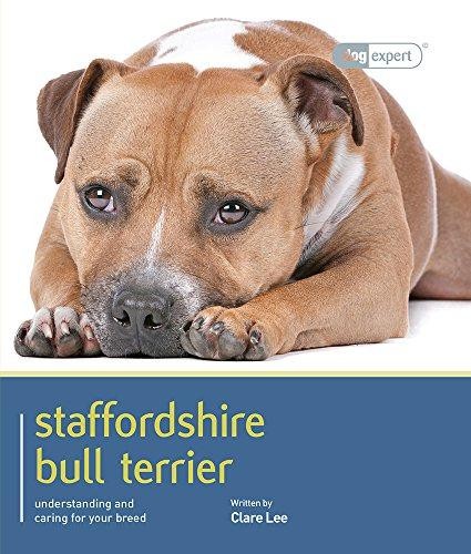 Staffordshire bull terrier - terrier,