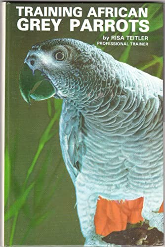 Training african grey - african,
