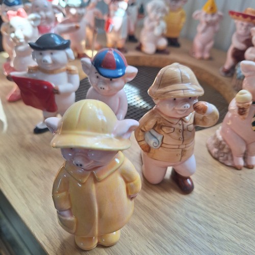 Full collection pigs the - collection, of
