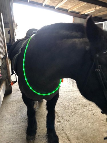 Horse usg flashing green led - usg,