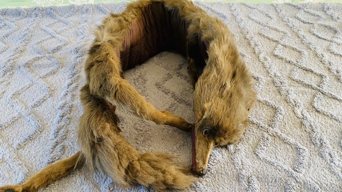 Vintage brown fox - vintage,