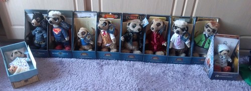 Compare the meerkat - compare,