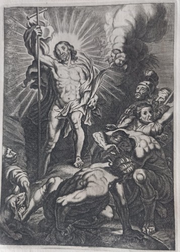 17th flemish old master - ,