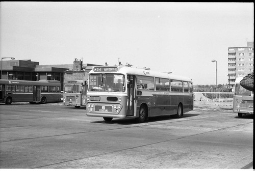 35mm black and white negative - 35mm,