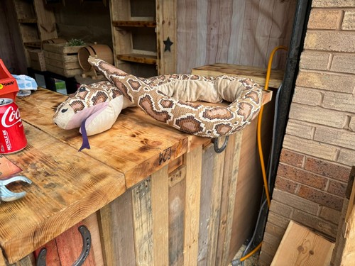 Snake plush toy large - snake,