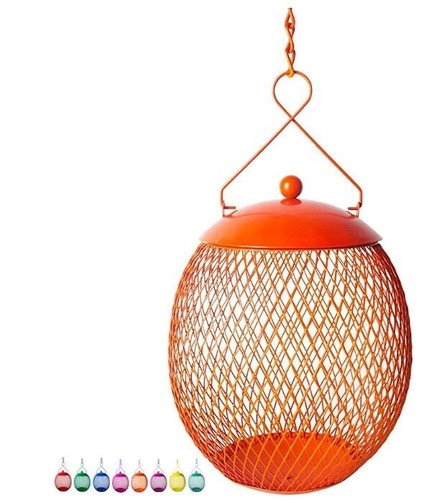 Endarius squirrel proof bird - proof,