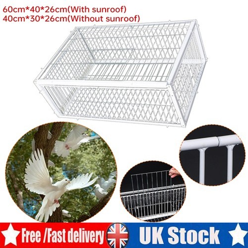 Pigeon trap cage single - trap, way