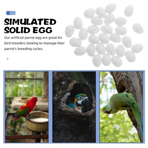 10pcs realistic fake bird - 10pcs,