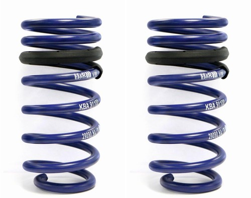 Lowering springs va for - h&r,