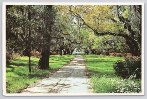 Litchfield plantation - litchfield,