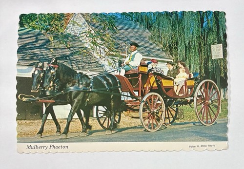 Vintage postcard mulberry - vintage,