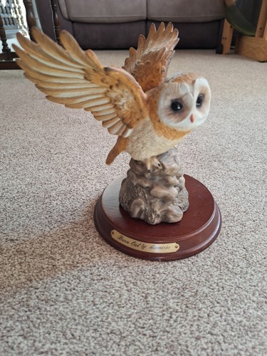 Barn owl leonardo - in, flight