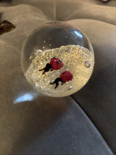 Glass ladybug paperweight - ladybug,