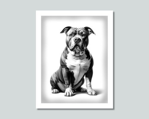 American bully dog photo - bully,