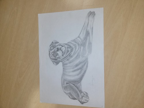 Rottweiler art - rottweiler,