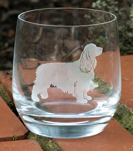 Personalised cesky terrier dog - terrier,