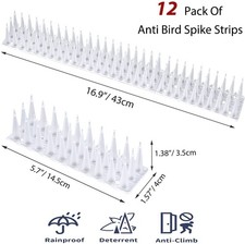 Bird Spikes, Bird Squirrel