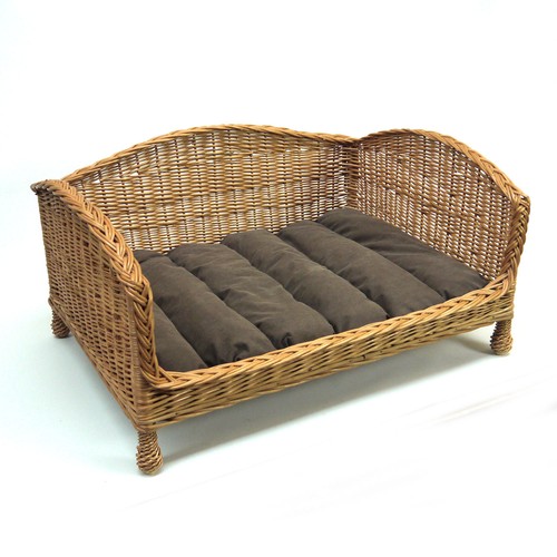 Luxury medium size - medium, dog