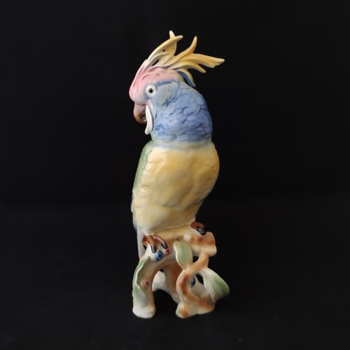 Karl ens porcelain - ens???,