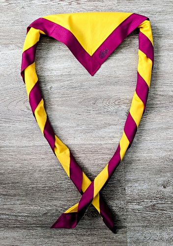 Scout youth necker scarf - youth,