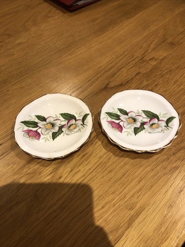 Regency english bone china - regency,