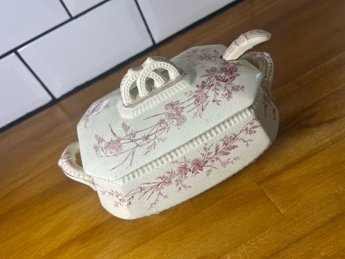 Vintage floral transferware - vintage,