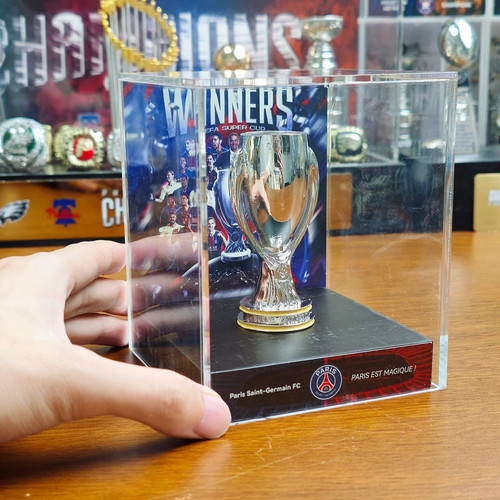 Paris saint germain european - saint-germain,