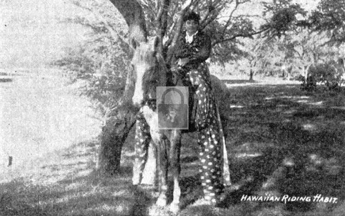 Hawaiian riding habit - hawaiian,