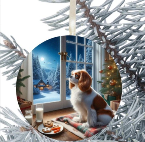 King charles cavalier spaniel - charles,