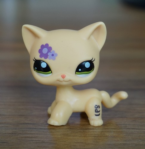 Beige cat edition lps - edition,