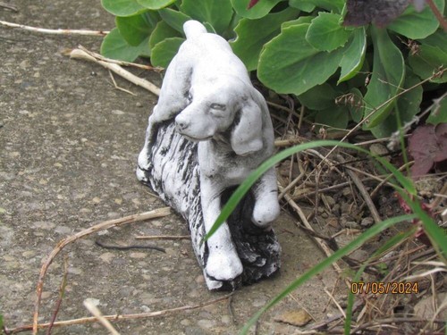 Running spaniel concrete - spaniel, (concrete