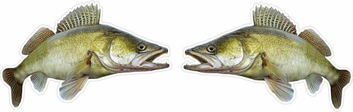 Fishing angling stickers - fishing,