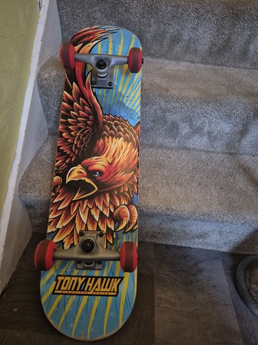 Tony hawk signature series - tony,