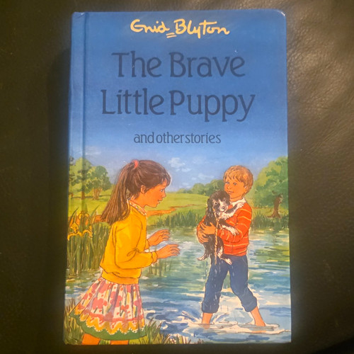 Enid blyton the - enid, brave