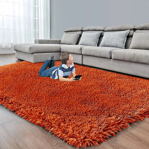 Luxury fluffy soft shaggy - soft,