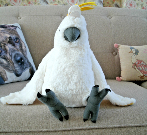 Wild cockatoo bird - wild, plush