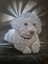 Original Pet/ Dog Animal Portraits From Your Photo Made To Order Oil Paintings 