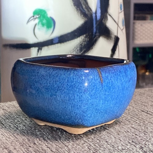 Bonsai pot japan glazed footed - bonsai,