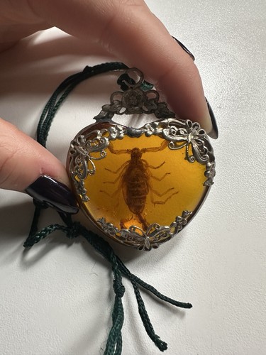 Vintage heart scorpion - heart,