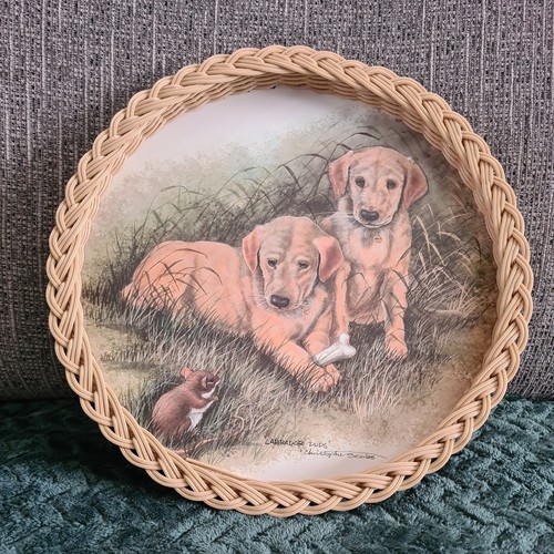 Vintage royal melamine serving - royal,
