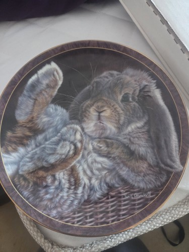 Vivi crandall bunny - crandall, tales